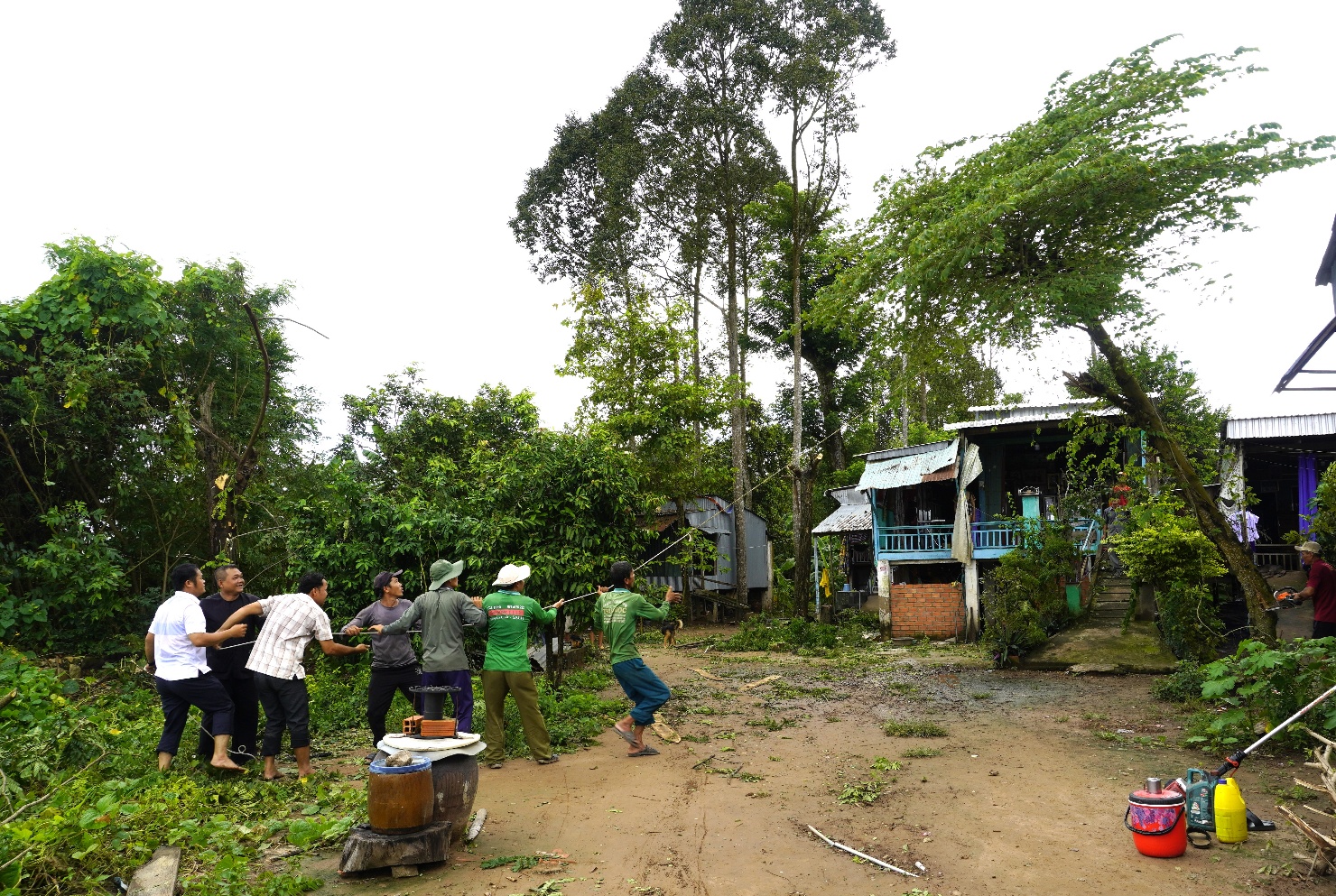 Description: A group of people playing in the dirt
AI-generated content may be incorrect.